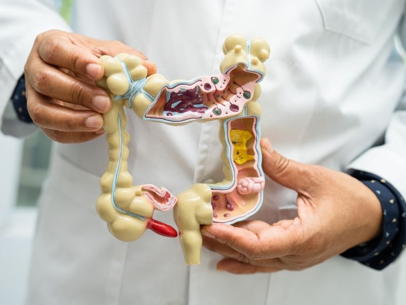 İnce Bağırsak Hastalıkları - Çocuk Gastroenteroloji Hepatoloji Ve Beslenme